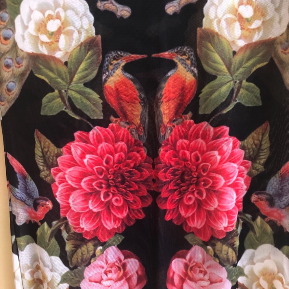 NWOT Nasty Gal Sheer London Body-con Dress - Picture 4 of 16